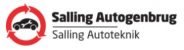 Salling auto logo